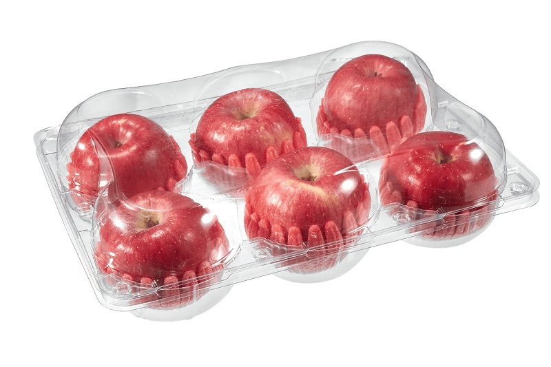 Hộp nhựa đựng 6 trái táo lê 1 0 hop nhua dung trai cay 6 trai