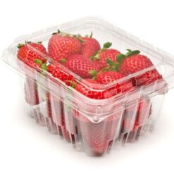 Hộp nhựa đựng dâu tây