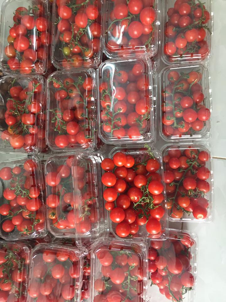 Hộp nhựa đựng trái cây