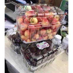 Hộp nhựa đựng trái cây P1000B