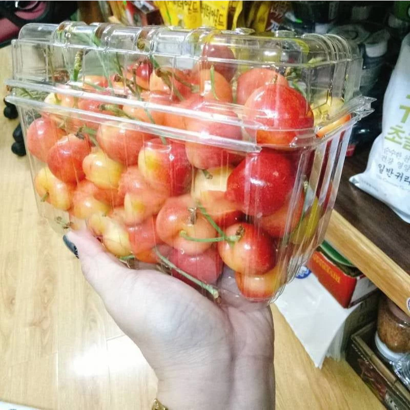 Hộp nhựa đựng trái cây P1000B 4 vn 11134207 7r98o